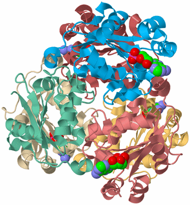 Image Biological Unit 2