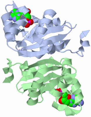 Image Biological Unit 3