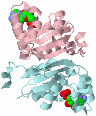 Image Biological Unit 4