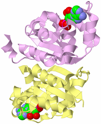 Image Biological Unit 5