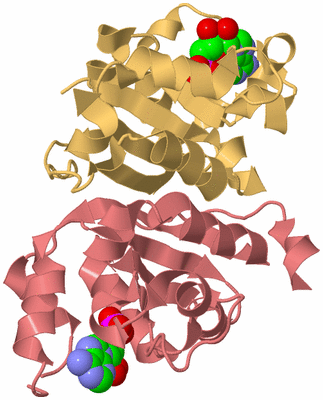 Image Biological Unit 6