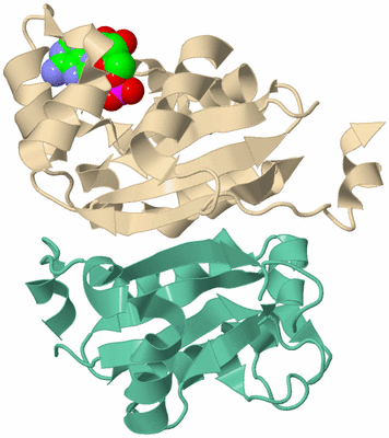 Image Biological Unit 7