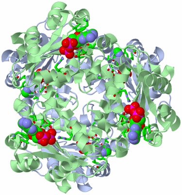 Image Biol. Unit 1 - sites