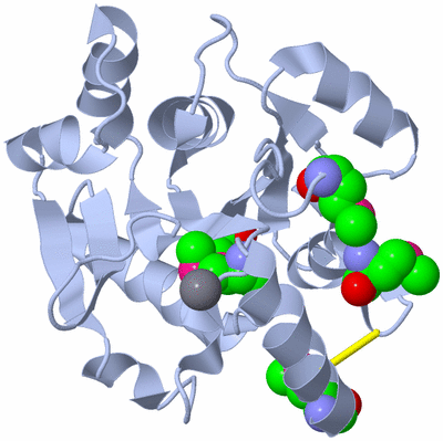 Image Biological Unit 1