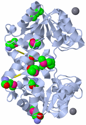 Image Biological Unit 2
