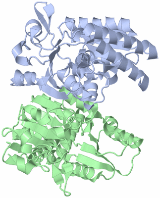 Image Asym./Biol. Unit