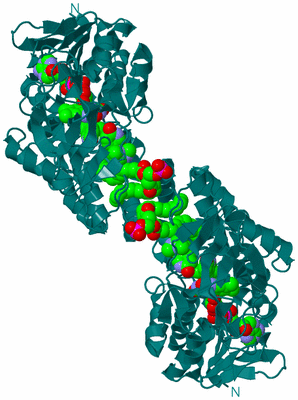 Image Biological Unit 1