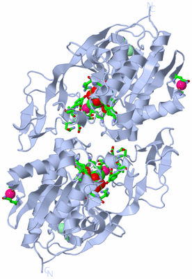 Image Biol. Unit 1 - sites