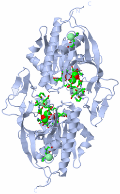 Image Biol. Unit 1 - sites