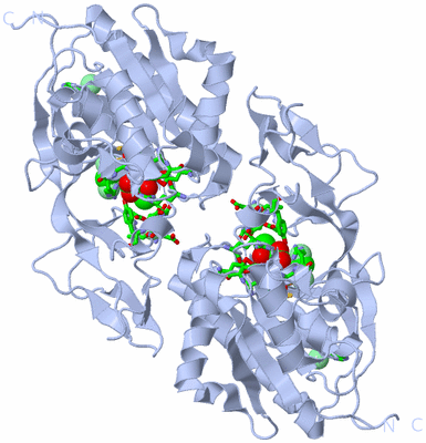 Image Biol. Unit 1 - sites