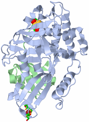 Image Asym./Biol. Unit - sites