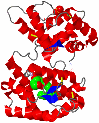 Image Asym./Biol. Unit