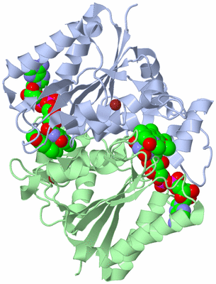 Image Asym./Biol. Unit