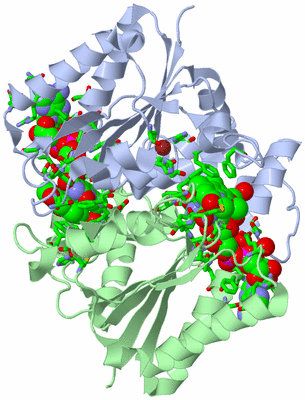 Image Asym./Biol. Unit - sites