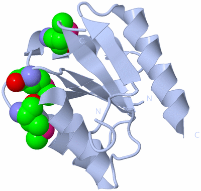 Image Biological Unit 1