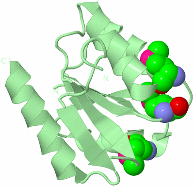 Image Biological Unit 2