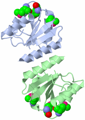 Image Biological Unit 3