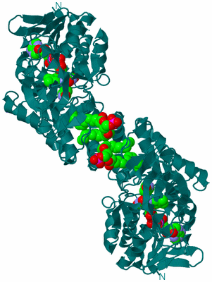 Image Biological Unit 1