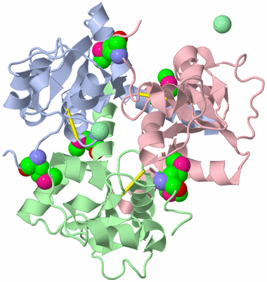 Image Biological Unit 1