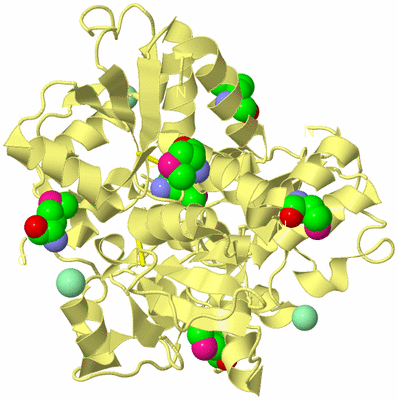 Image Biological Unit 2