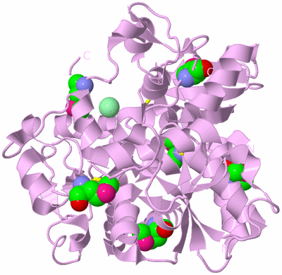 Image Biological Unit 3