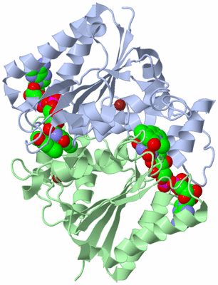 Image Asym./Biol. Unit