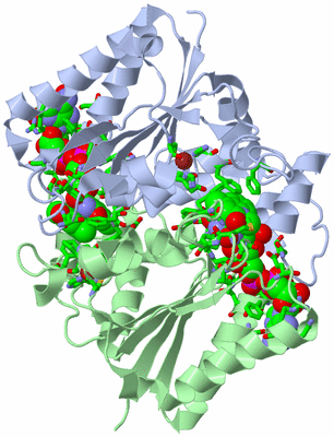 Image Asym./Biol. Unit - sites