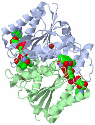 Image Asym./Biol. Unit