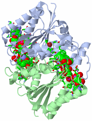 Image Asym./Biol. Unit - sites