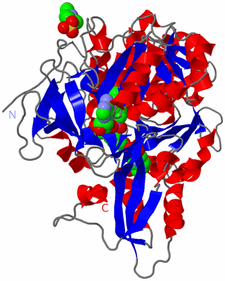 Image Asym./Biol. Unit