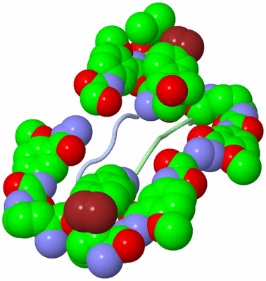 Image Biological Unit 1