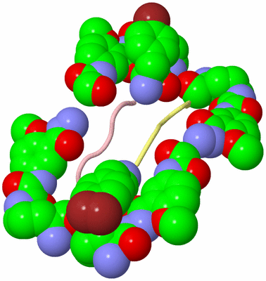 Image Biological Unit 2