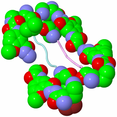 Image Biological Unit 3