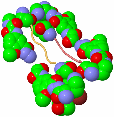 Image Biological Unit 4