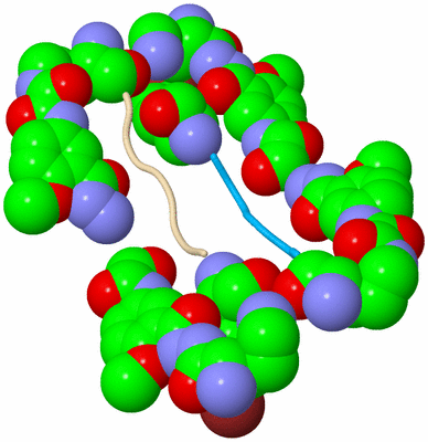 Image Biological Unit 5