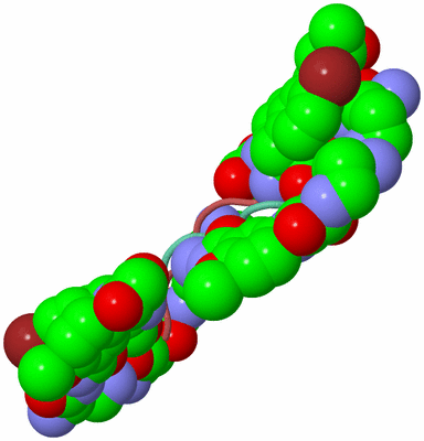 Image Biological Unit 6