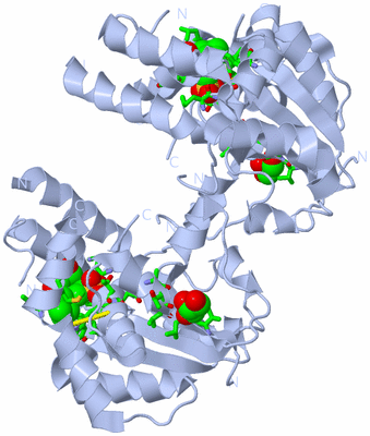 Image Biol. Unit 1 - sites