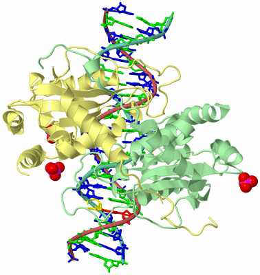 Image Biological Unit 2