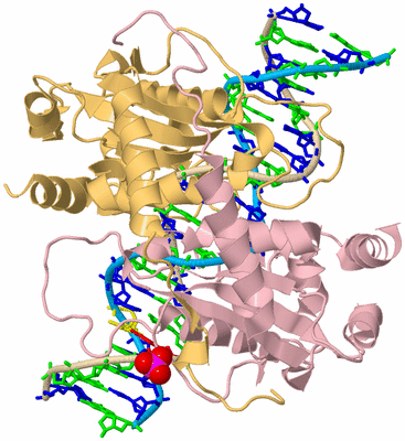 Image Biological Unit 3