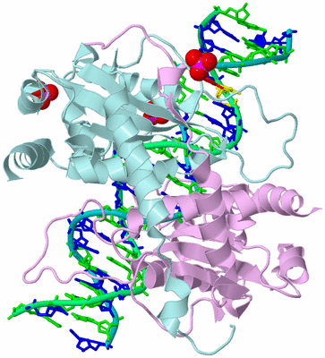 Image Biological Unit 4