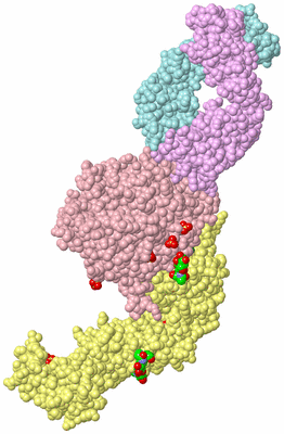 Image Biological Unit 2