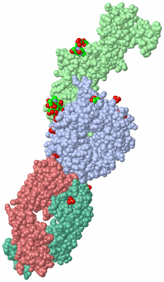 Image Biological Unit 1