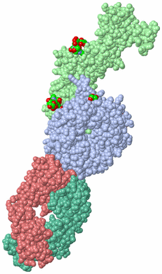 Image Biological Unit 1