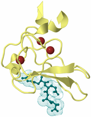 Image Biological Unit 3