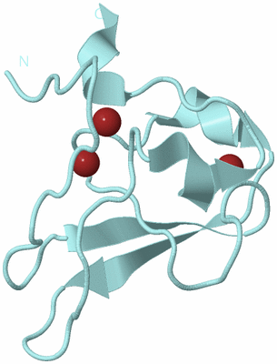 Image Biological Unit 4