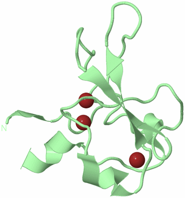 Image Biological Unit 2