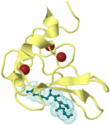 Image Biological Unit 3