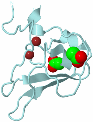 Image Biological Unit 4