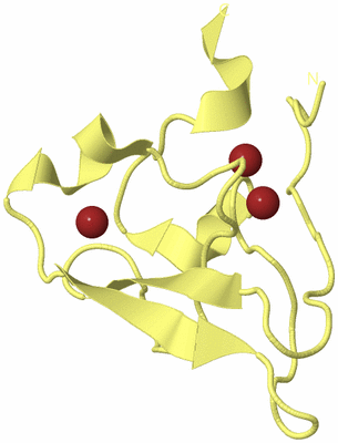 Image Biological Unit 3