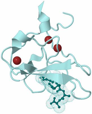 Image Biological Unit 4